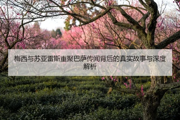 梅西与苏亚雷斯重聚巴萨传闻背后的真实故事与深度解析